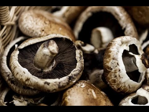 Unveiling Portobello Mushroom Health Risks: Crucial Precautions Unveiled!
